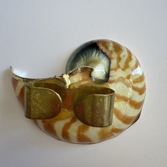 Vintage Nautilus Shell Belt Buckle Brown Gold Tone Coastal Beach
