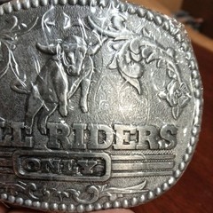  » BULL RIDERS ONLY  » Belt Buckle Zee Series – New in Plastic