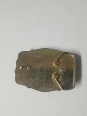 Agate Polished Stone Gold Tone Belt Buckle Southwestern