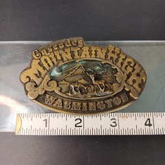 1976 Dezy Denver Rocky MountainHigh Washington Belt Buckle Made In USA