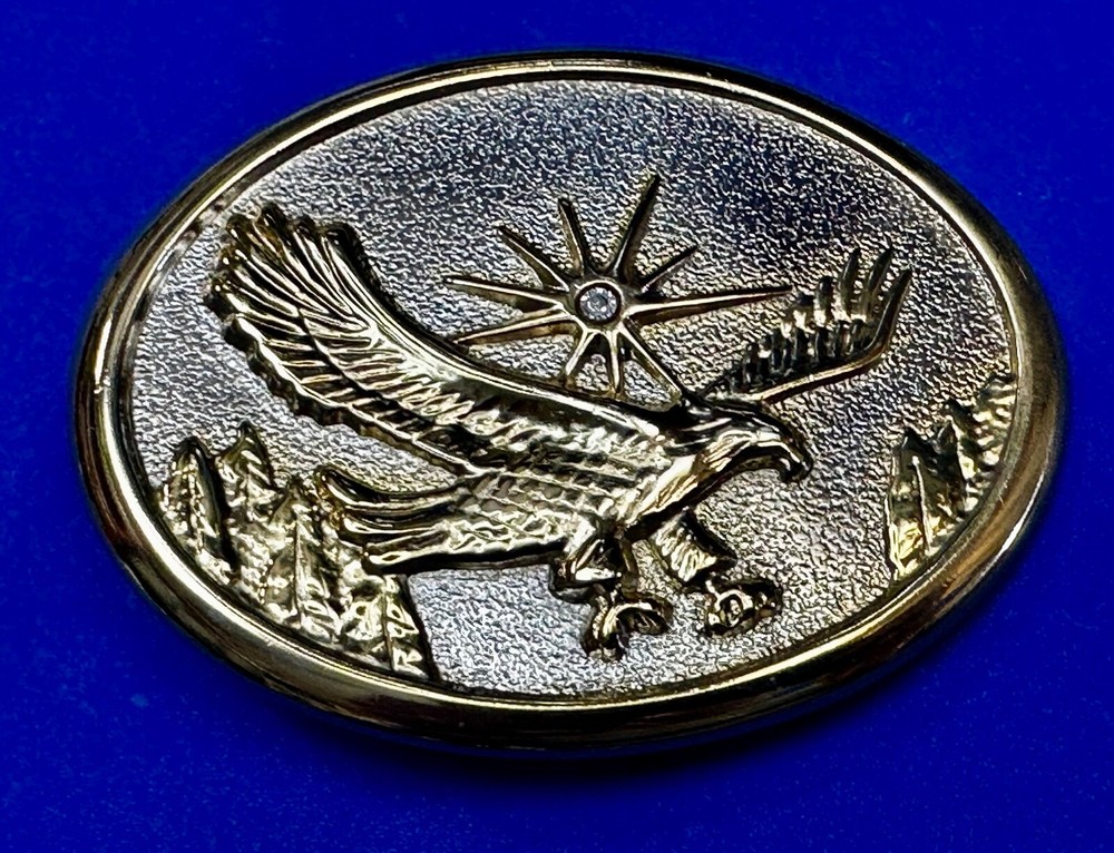 Eagle With Starburst USA Patriotic Belt Buckle Golden Western Bird Wings Cowboy